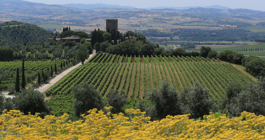 Imagens do nosso destino Toscana